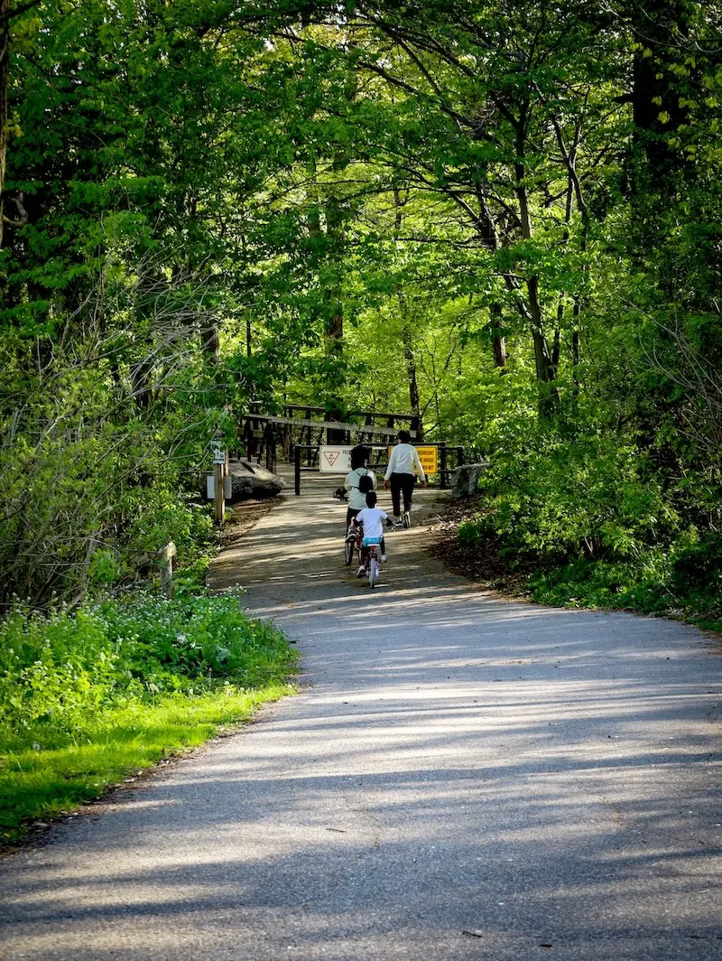 Family on a Pickering trail